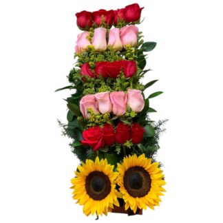 Arreglo Lineal de Rosas Rojas y Rosadas con Girasoles