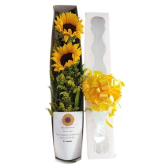 Caja con 2 girasoles frescos en presentación elegante.