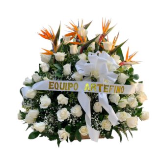 Arreglo triangular de rosas blancas y aves de paraíso.