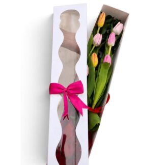 Caja de Acetato con 6 Tulipanes de Colores